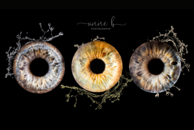 3 iris Famille