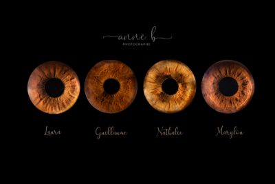 4 Iris famille Anneb
