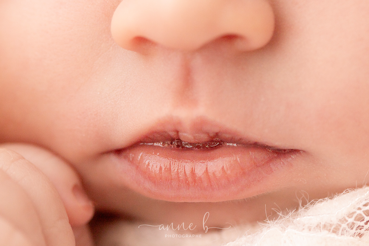 IMG_0699 anneb photo